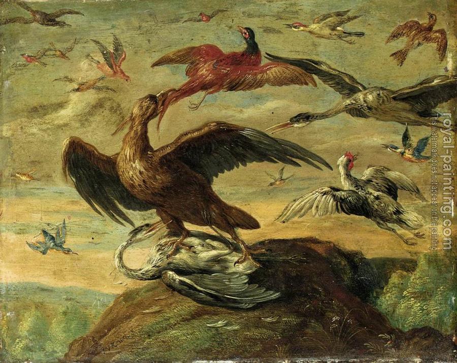Jan Van Kessel : birds